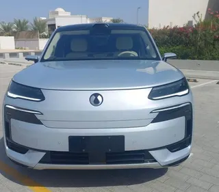 BYD Denza 2025 — OneClickDrive