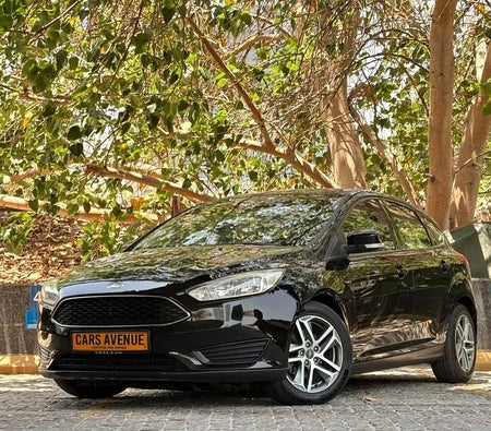 Ford Focus 2017 — OneClickDrive