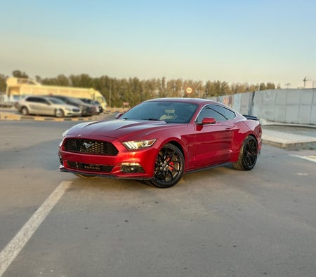 Ford Mustang 2017 — OneClickDrive