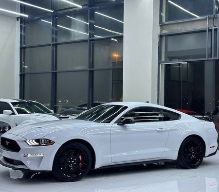 Ford Mustang 2022 — OneClickDrive