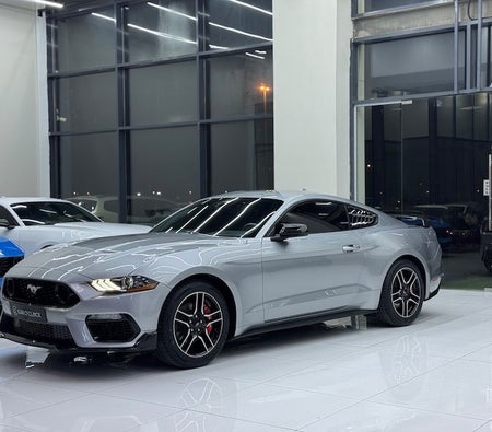 Ford Mustang 2022 — OneClickDrive