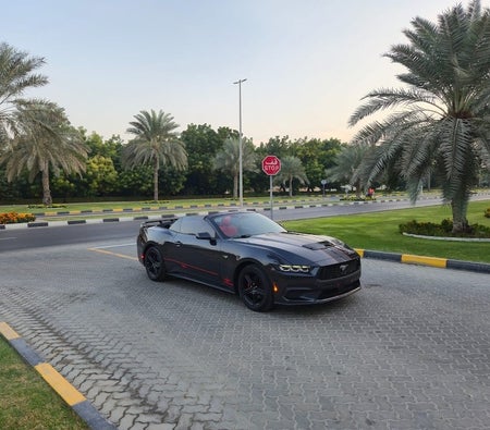 Ford Mustang 2024 — OneClickDrive