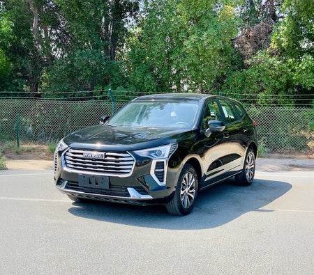 Haval Jolion 2023 — OneClickDrive