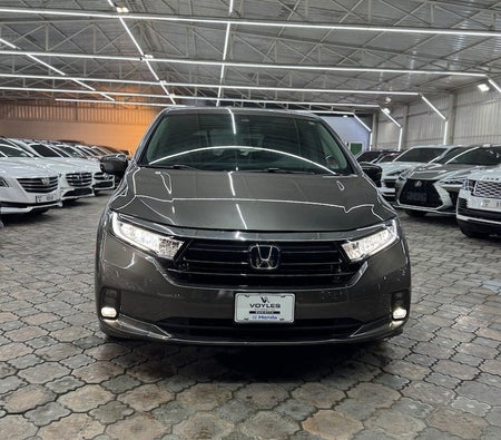 Honda Odyssey 2022 — OneClickDrive