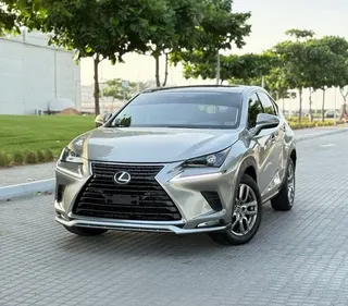 Lexus NX 300 2020 — OneClickDrive