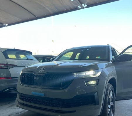 Skoda Kodiaq 2024 — OneClickDrive