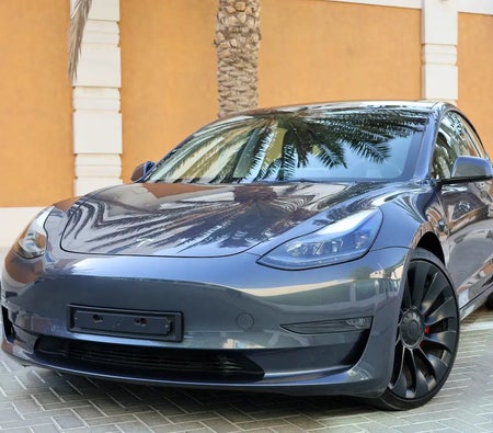 Tesla Model 3 2021 — OneClickDrive