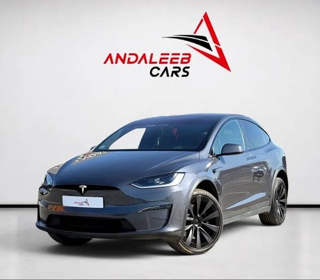 Tesla Model X 2023 — OneClickDrive