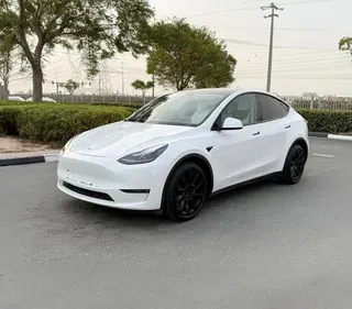Tesla Model Y 2022 — OneClickDrive