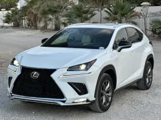 Lexus NX 300 F Sport 2020 — Auto Trader UAE