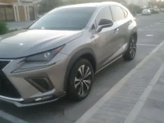Lexus NX 300 2020 — Auto Trader UAE