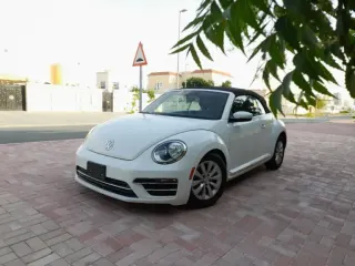 Volkswagen Beetle 2019 — Auto Trader UAE