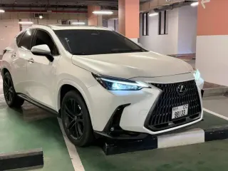 Lexus NX 350 2024 — Auto Trader UAE