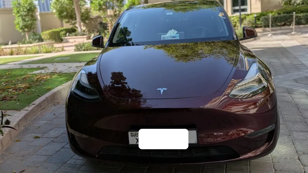 Tesla Model Y 2023 — YallaMotor