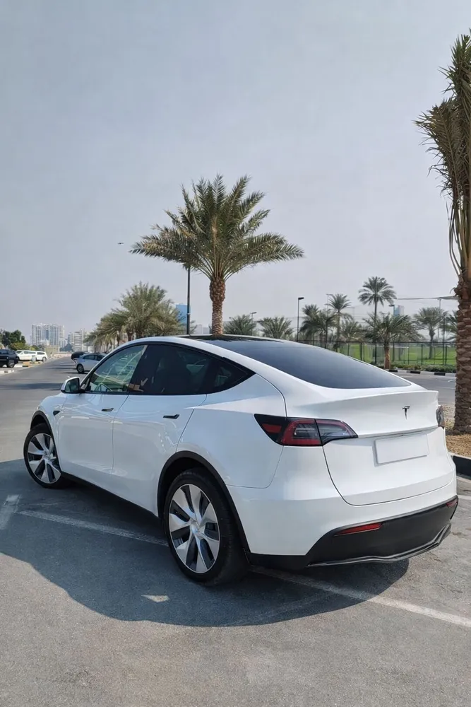 Tesla Model Y 2023 — YallaMotor